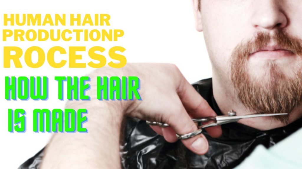 Human Hair Production Process: How the Hair is Made